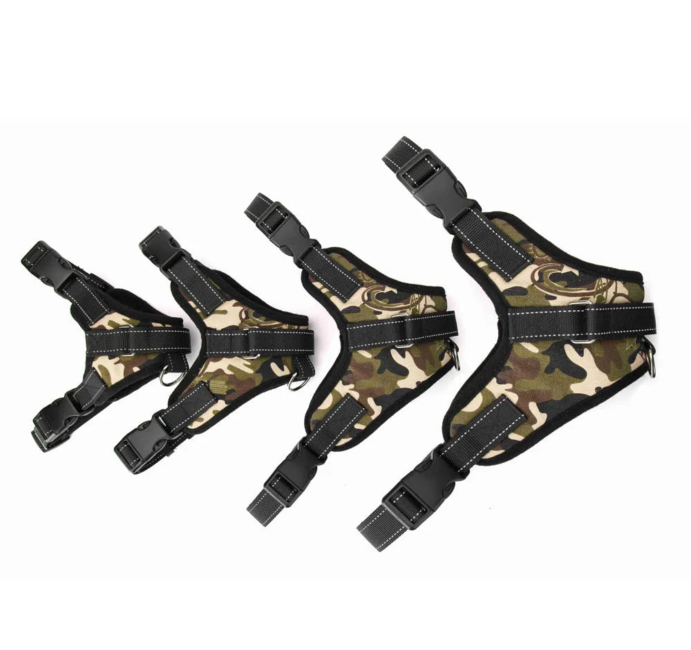 Black nylon dog collar with matching lead on a dog's neck, set on a plain background.