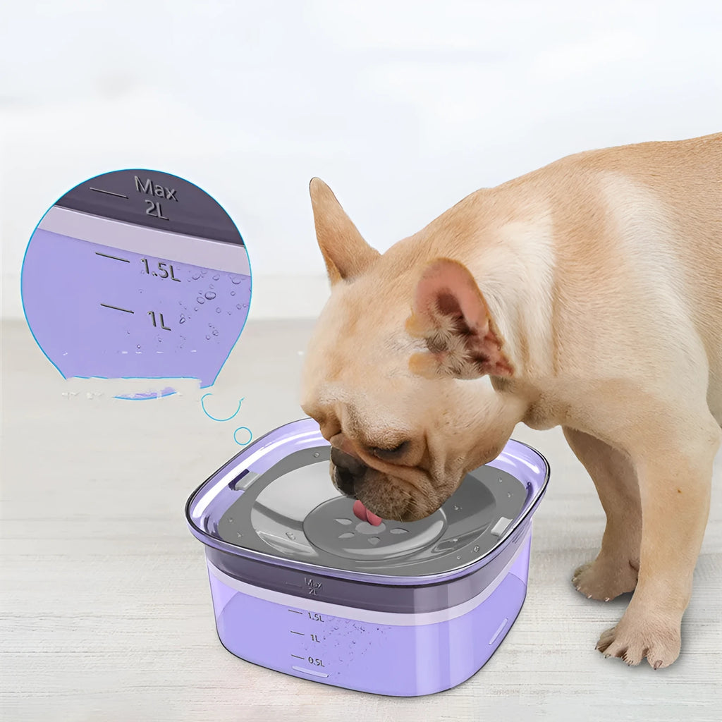 Pet dog floating water bowl in transparent finish with splash-proof design and compact 21.3cm size