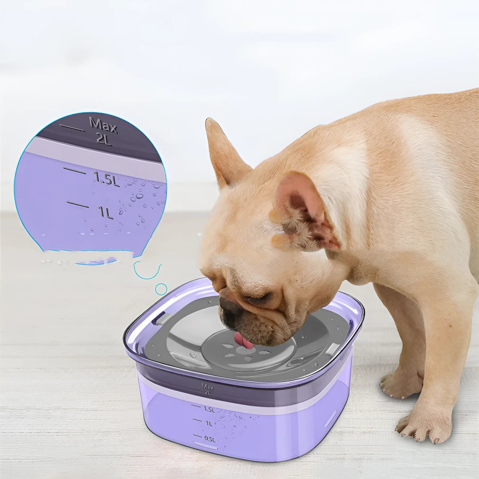 Pet dog floating water bowl in transparent finish with splash-proof design and compact 21.3cm size