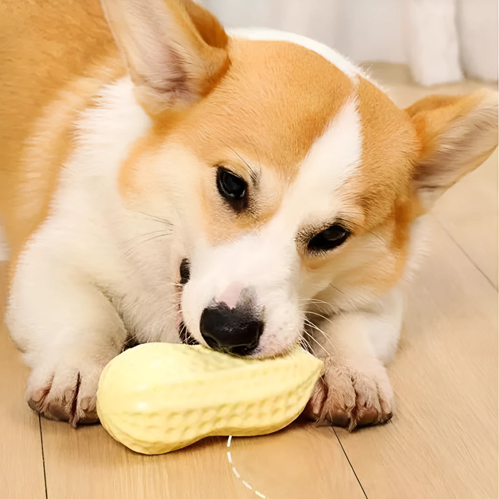 Yellow peanut-shaped dog chew toy with textured surface for teeth cleaning