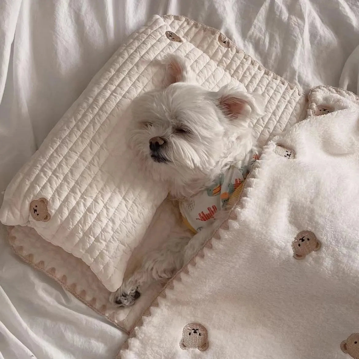 Simple bear print square dog bed set with pillow, mattress, and quilt on a floor.