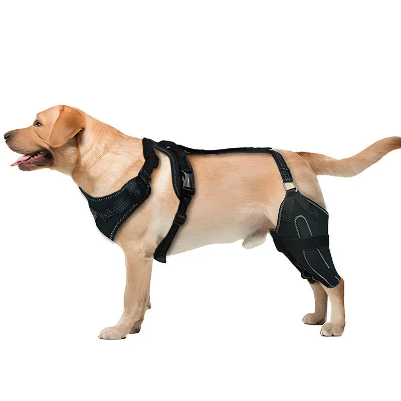 Black polyester dog thigh protective sleeve with adjustable metal support on canine leg
