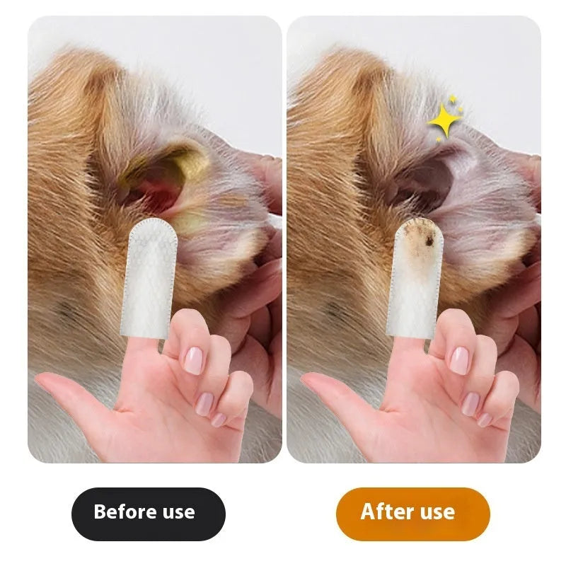Box of disposable pet teeth cleaning wipes and ear cleaning wipes with fingertip applicators for cats and dogs.