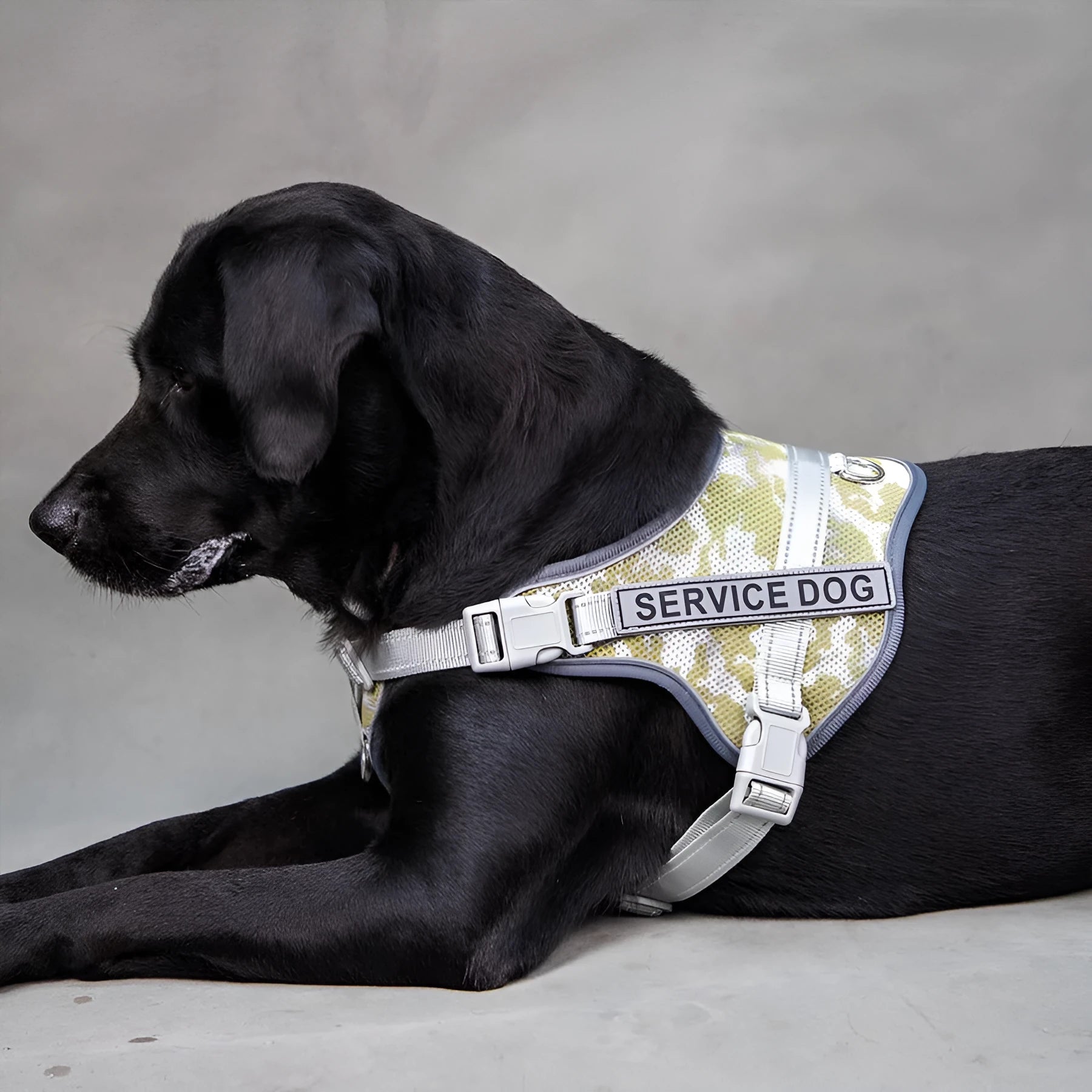 Colourful reflective pet harness with safety collar in ankela red, dark blue or camouflage patterns