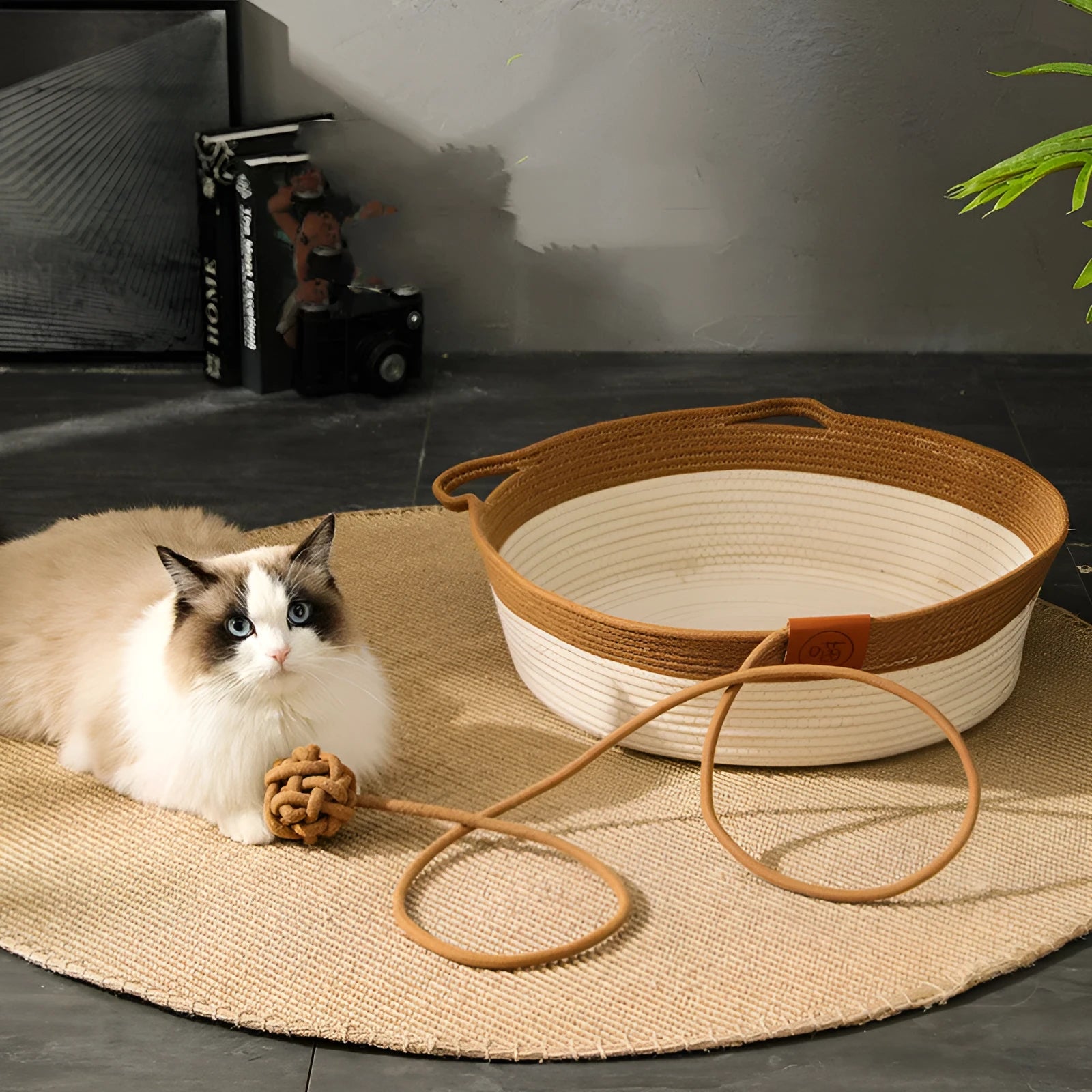 Four Seasons Universal Bed Cat Nest Cotton Rope Rattan Nest Pet Bed Small 35cm Medium 42cm Large 48cm Grey Brown Green with Cushion Options for Multi-Season Indoor Use Sleeping and Lounging Cat Bed Pet Nest Product