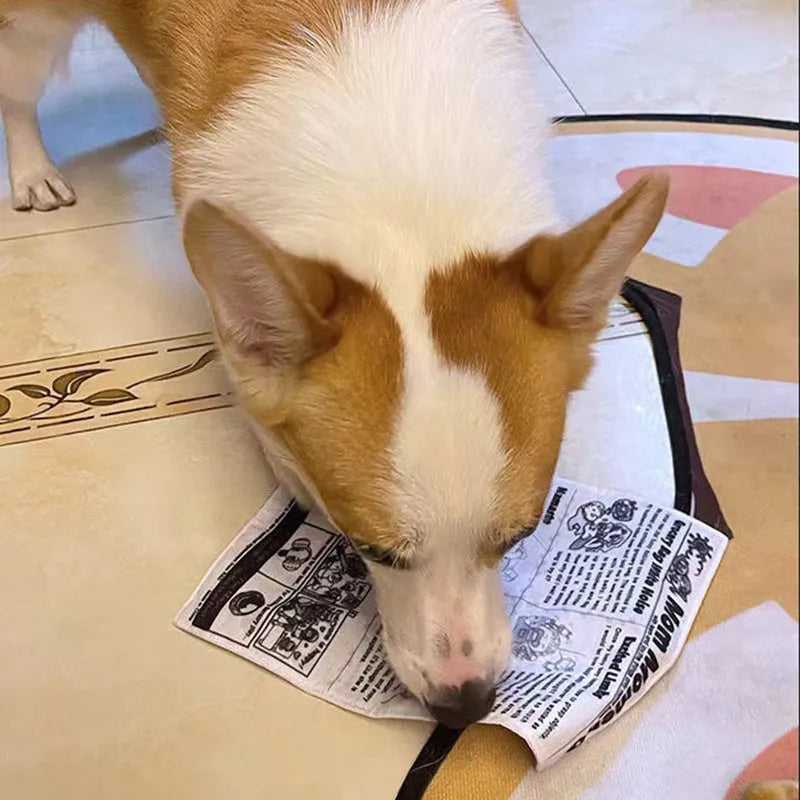 Realistic newspaper texture dog toy that produces squeaking sounds during play