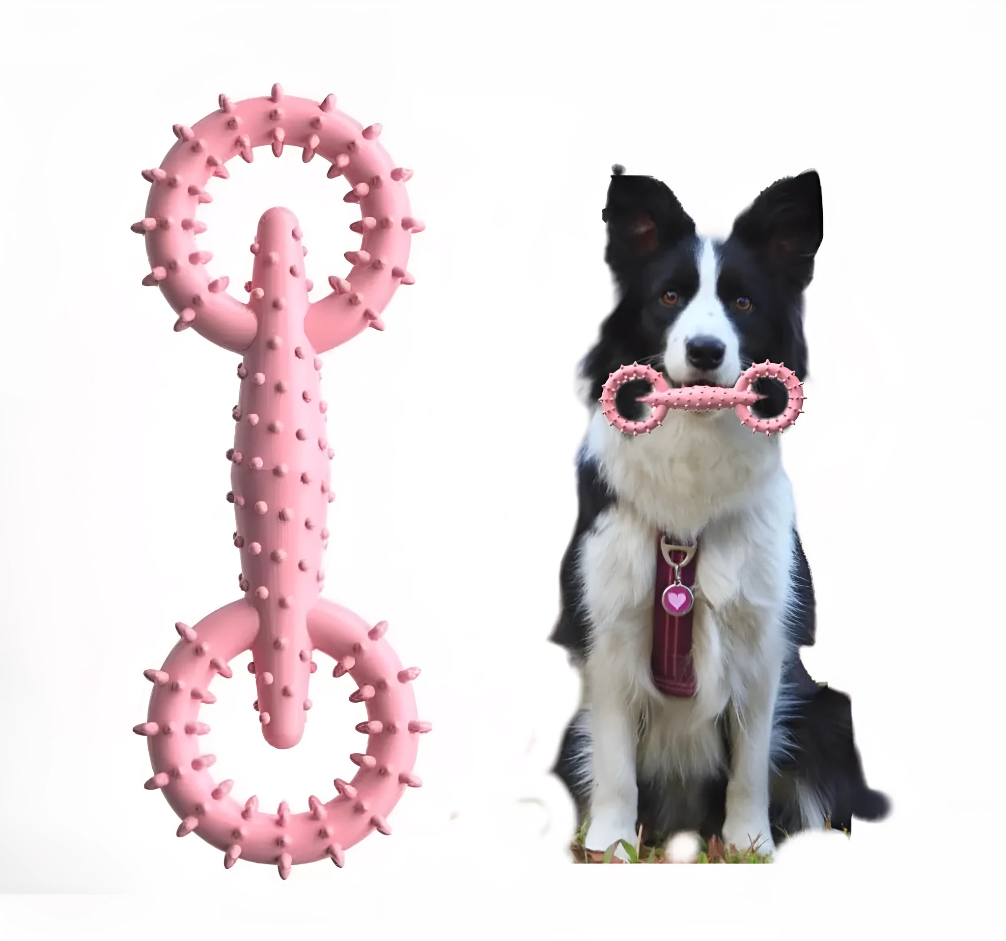 Blue TPR dog chew toy ring for puppy teething relief, 16cm diameter safe chew board