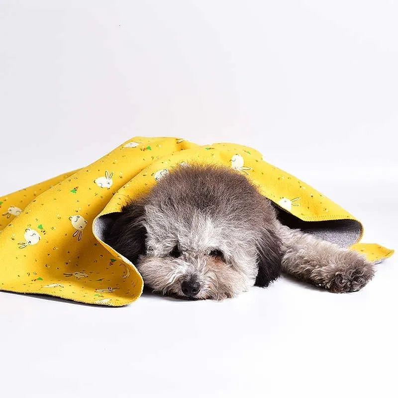 Cotton velvet pet blanket with dinosaur print in various sizes on a dog bed.