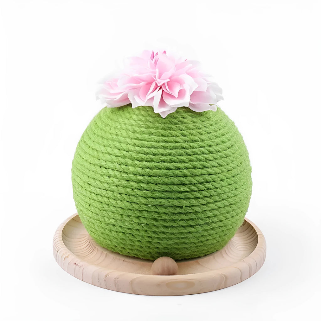 PP cactus shape cat grinding paw toy for vocal play, shown in Cat head type, Circular, or Rotary table type colour option.
