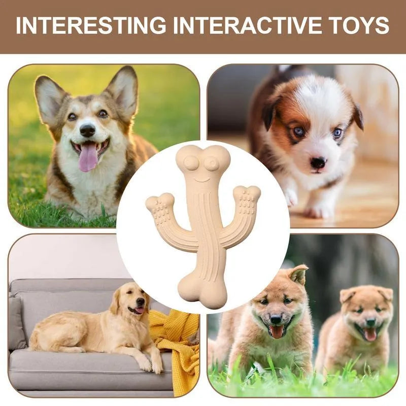 Cactus-shaped dog chew toy in bamboo fibre and rubber showing textured surface and cactus silhouette
