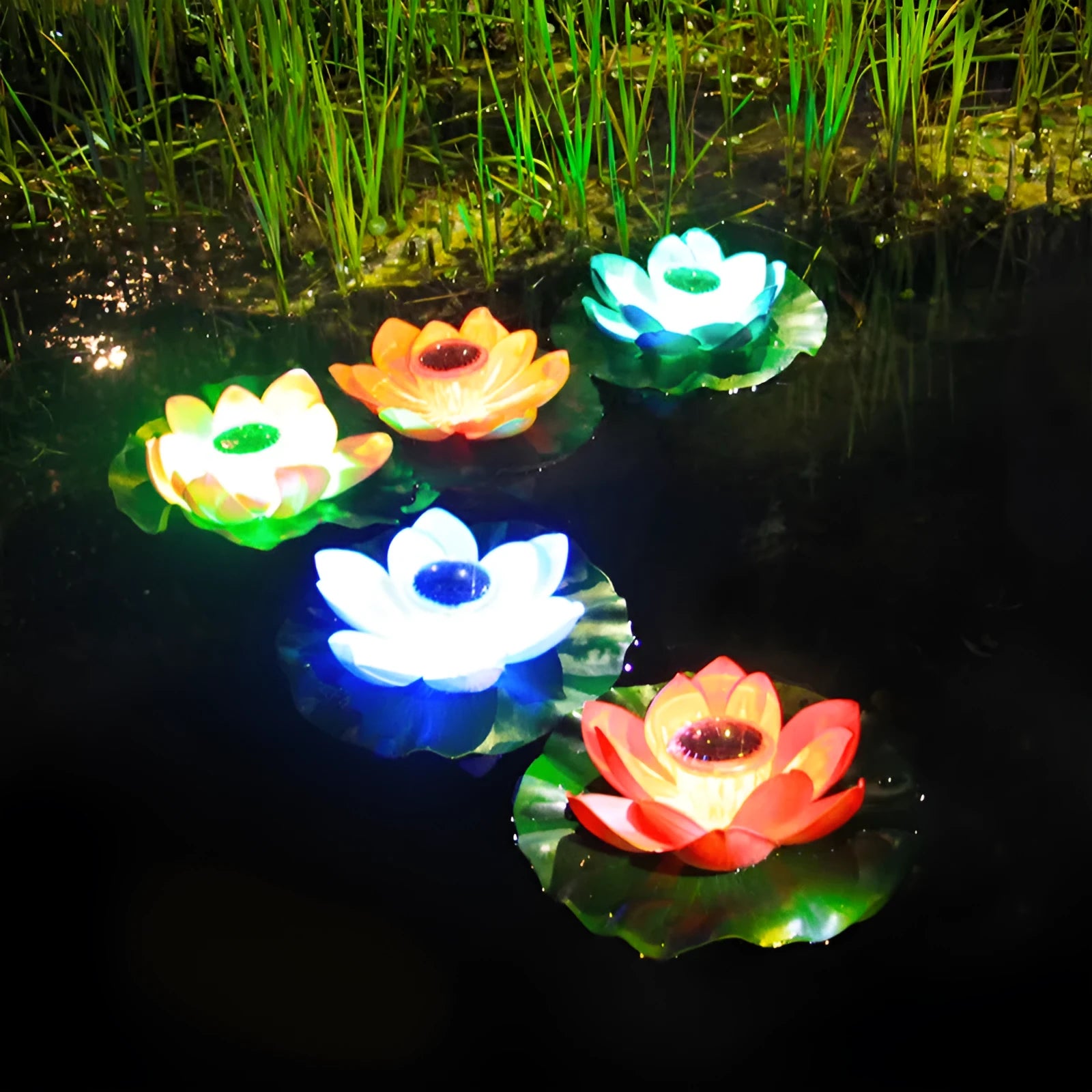 Floating solar lotus lamp on pond water with colourful LED light