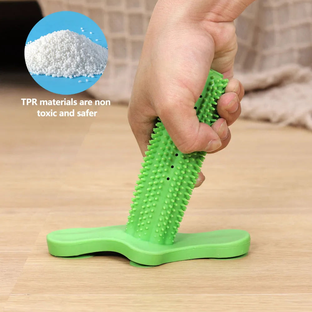Green TPR dog chew toy with suction cup base and molar rod for teeth cleaning and tartar prevention