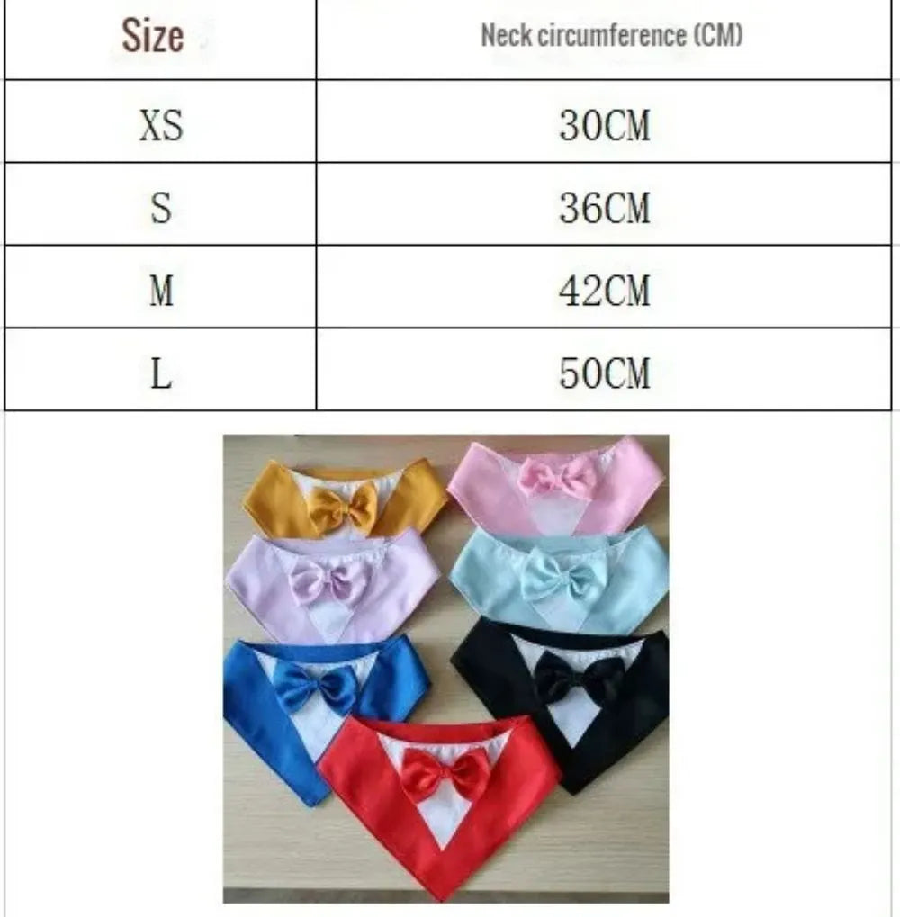 Pet triangle bib bow collar scarf on dog with adjustable velcro fastening