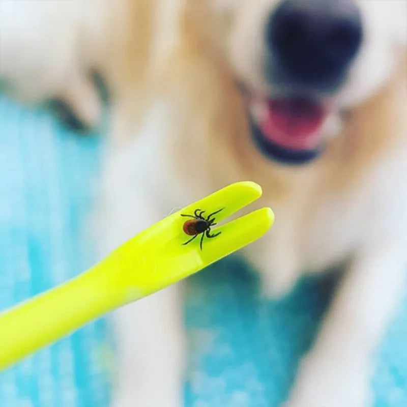 Three plastic tick removal hook tools for pets in blue and green colours