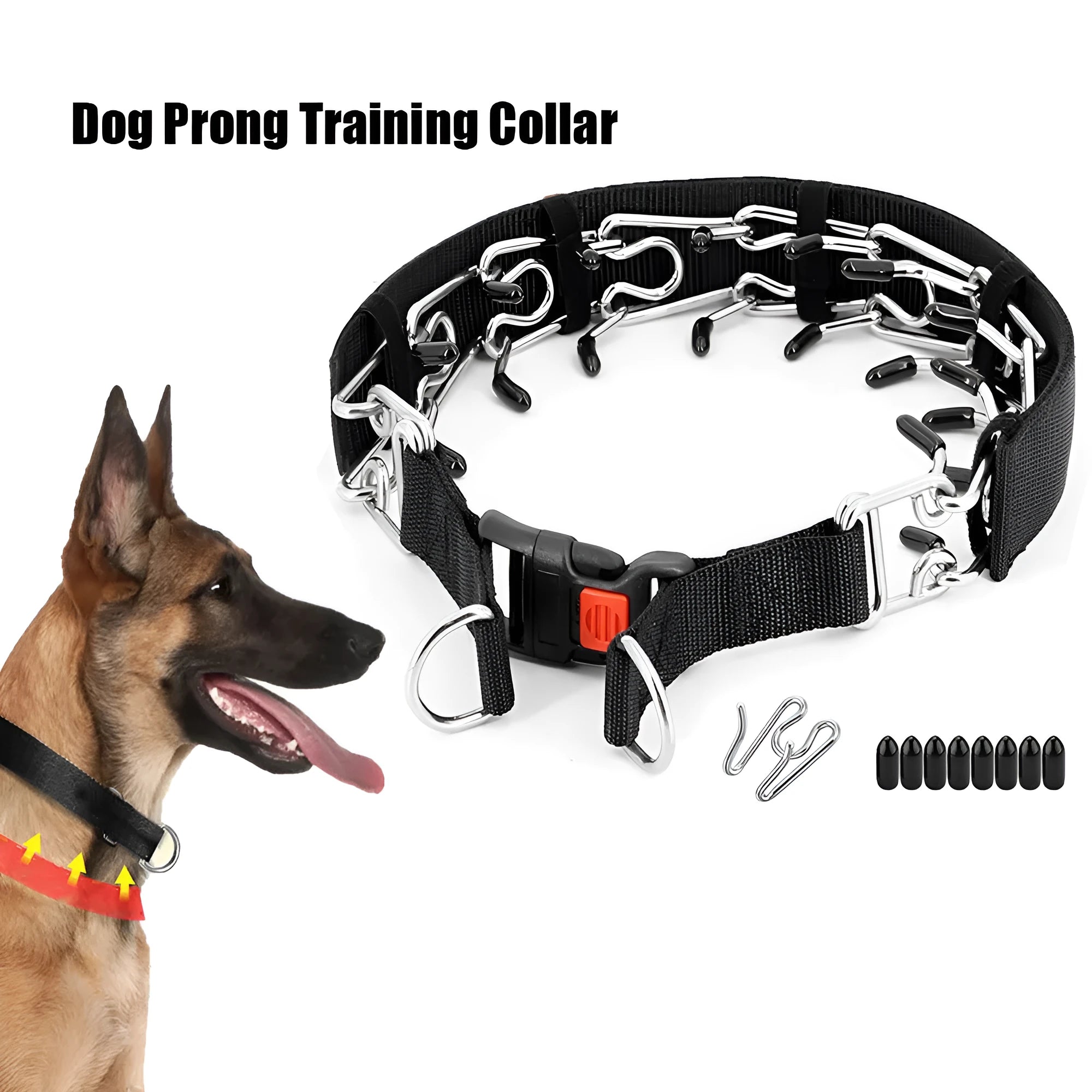 Stainless steel spike dog training collar in reflective blue, shown in size L for medium dog breeds.