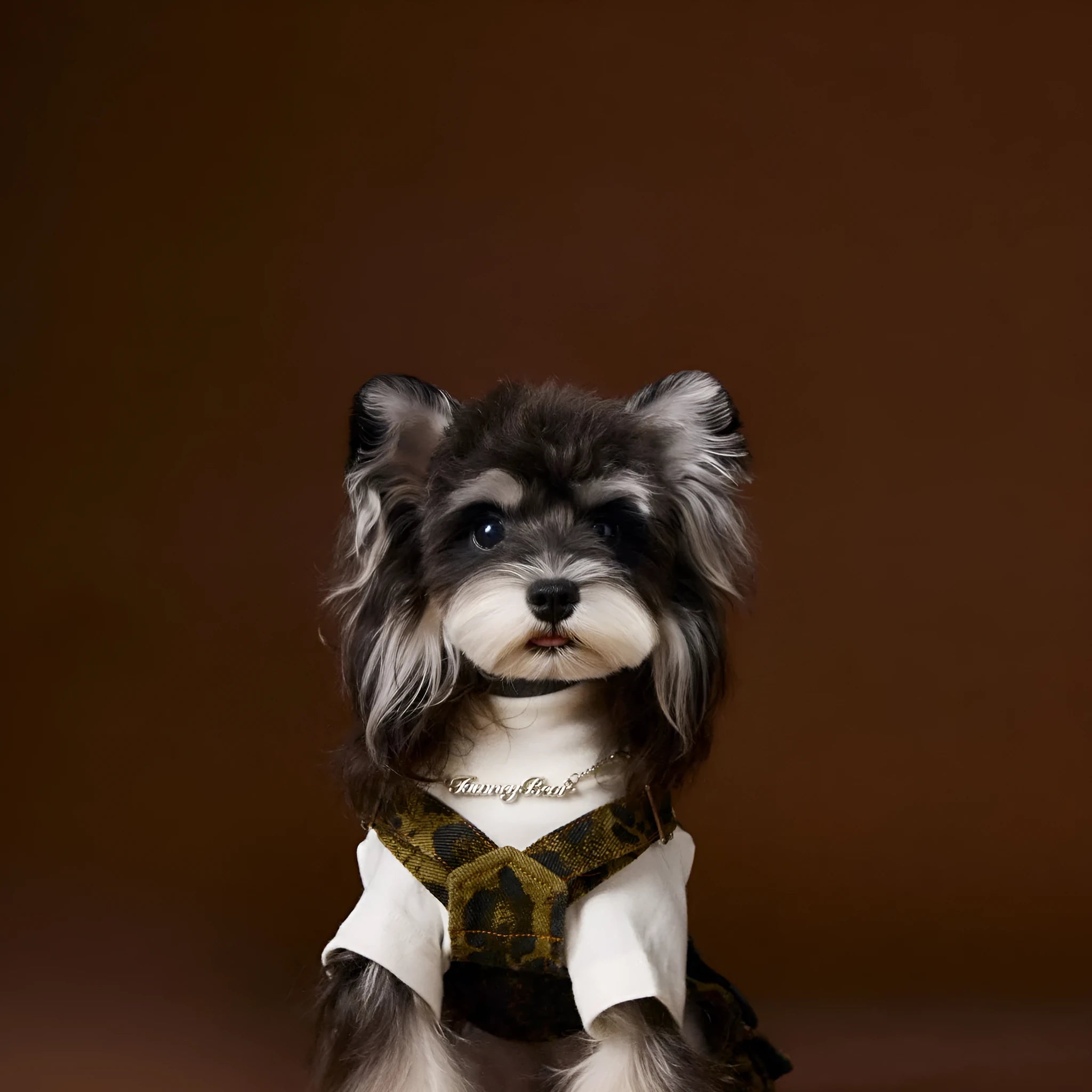 Leopard print cotton dog overalls for autumn in suspender style, sizes XS to XXL