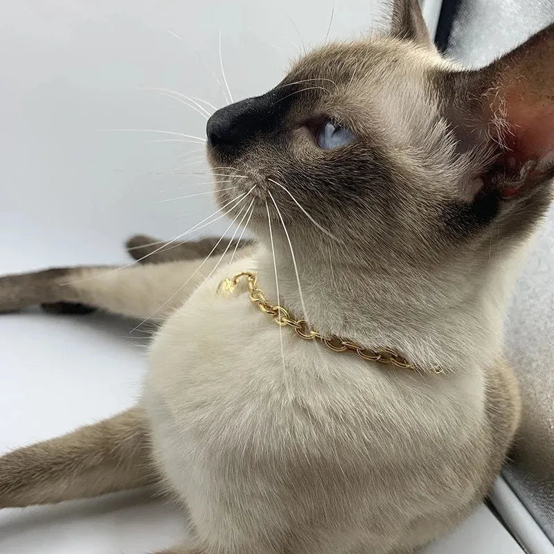 Stainless steel curb chain necklace with a detailed love heart pendant, shown in gold and silver finishes.