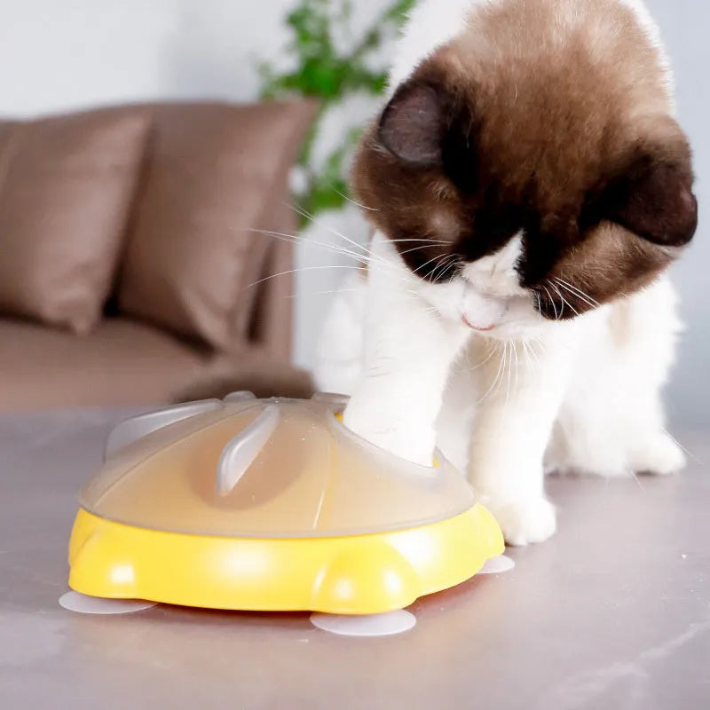 Yellow cat snack bowl with separate compartments and non-slip base pet toy