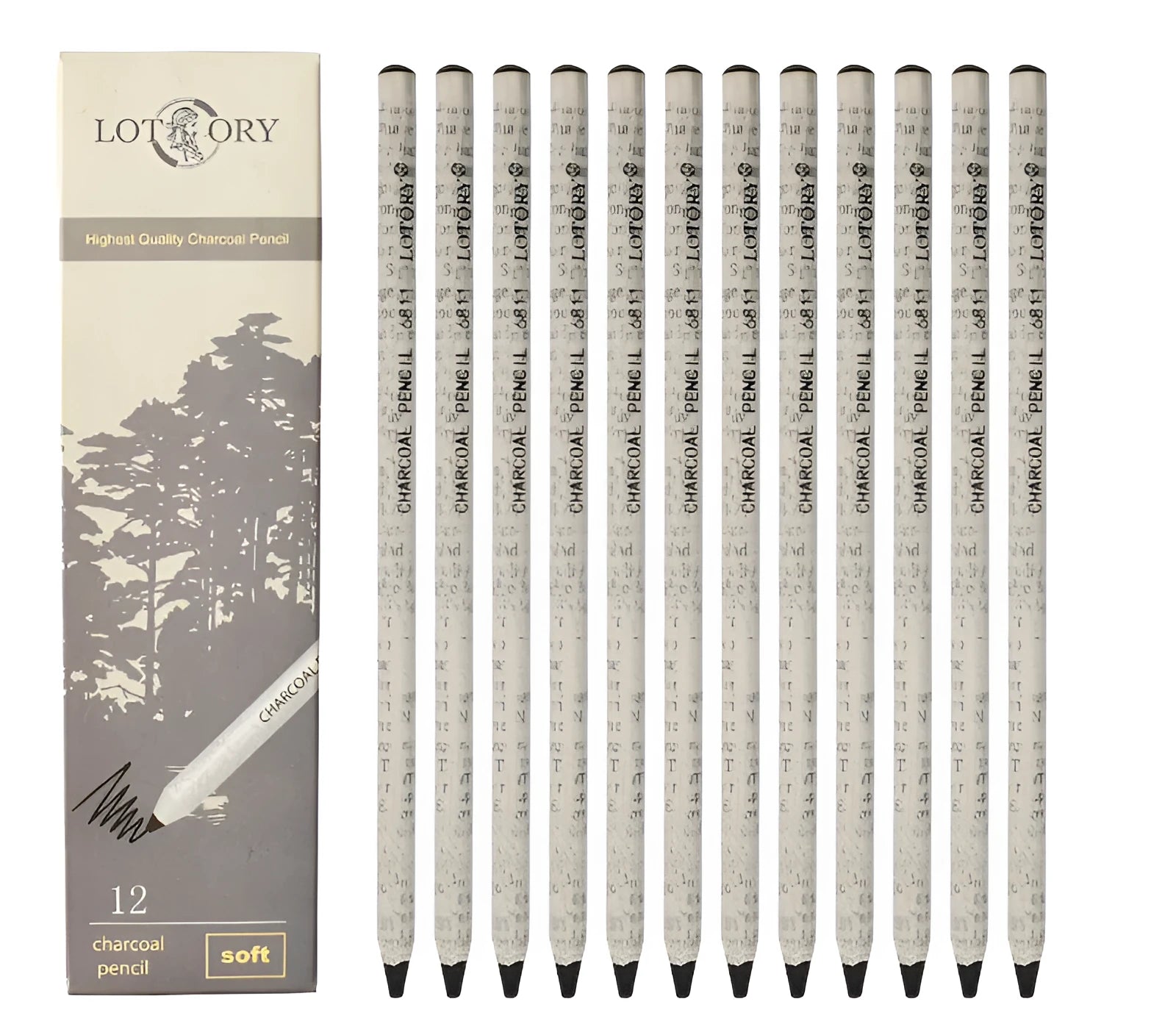 Professional charcoal pencil art set showing multiple hardness grades from 2H to EE with rolling charcoal and drawing wire components
