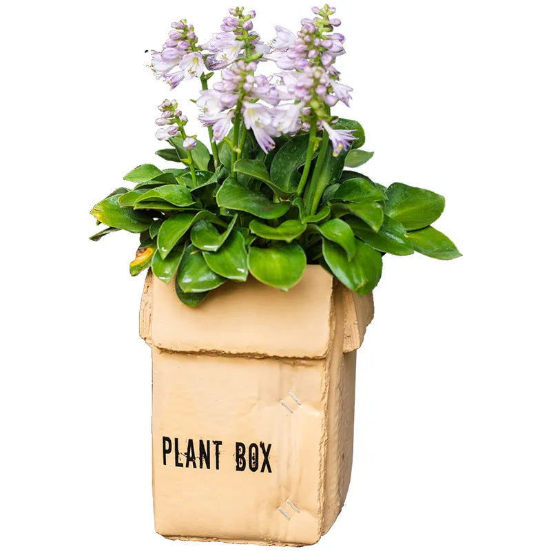 Cement flowerpot with bottom drainage holes in Nordic brown paper box design