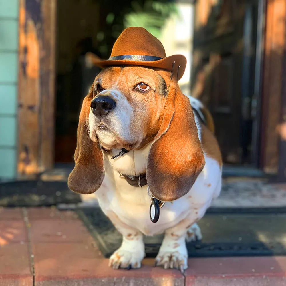 A brown adjustable cowboy hat for a dog or cat on a white background.