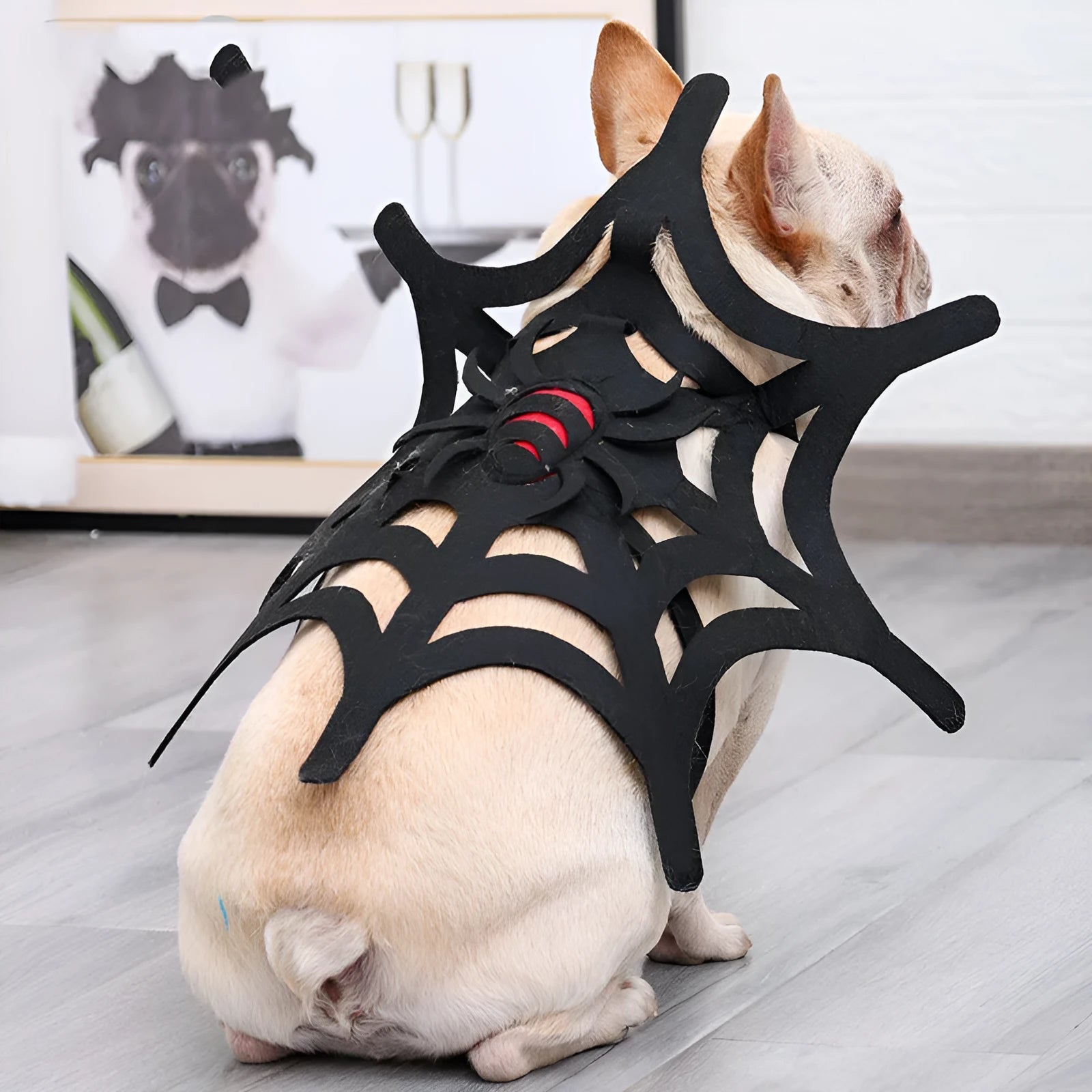 Black felt cloth Halloween spider web costume for cats and dogs, with size chart showing neck and bust measurements