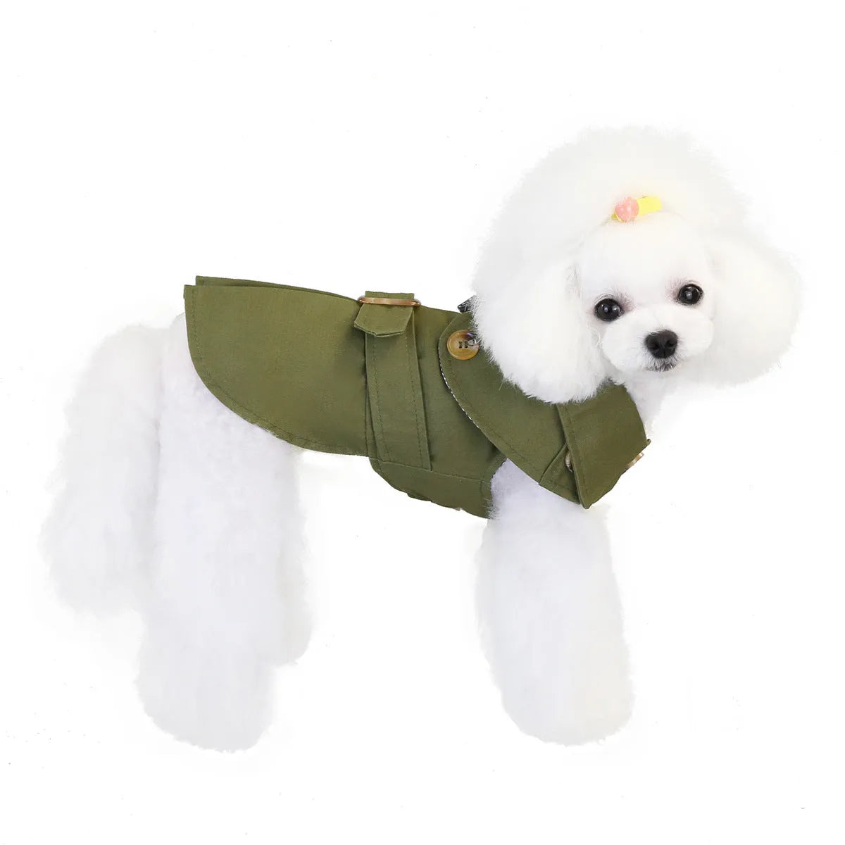 Three-colour windbreaker dog coat for small dogs in blue, green, or khaki, sizes S to XXL.