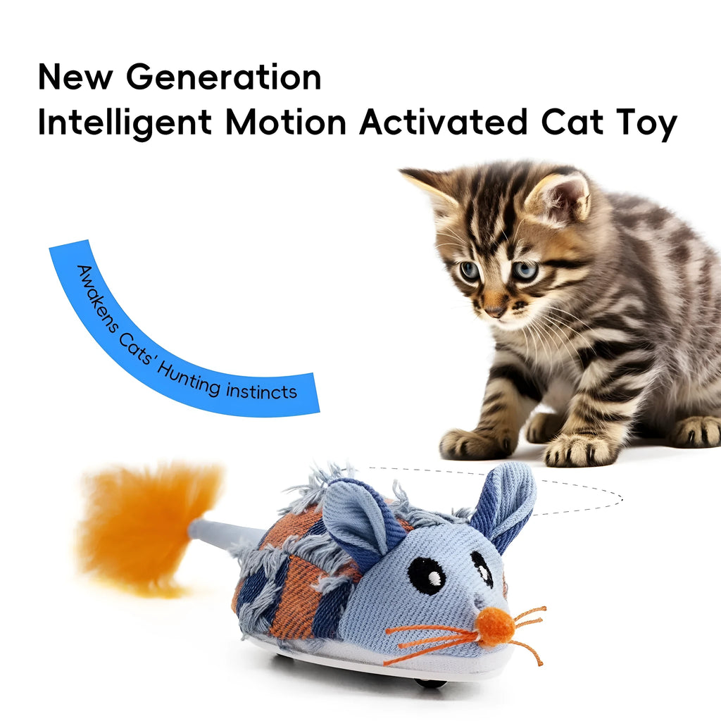 Electronic motion cat toy with moving mouse design, rechargeable battery, sound box and feather attachments in Blue and Yellow options