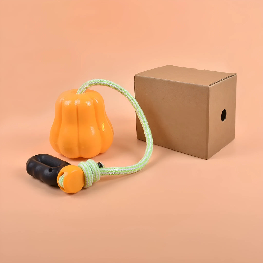 Pumpkin-coloured plastic dog chew toy with a rope attached for fetching.