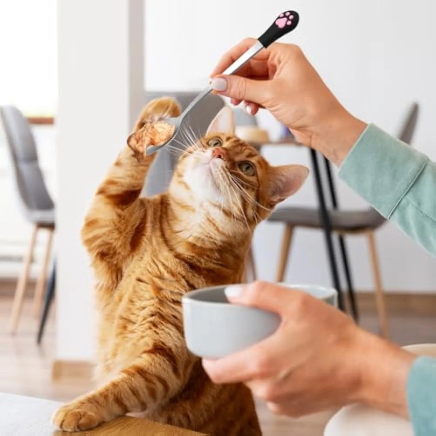 White and black stainless steel pet food spoons with cat paw design and silicone handles