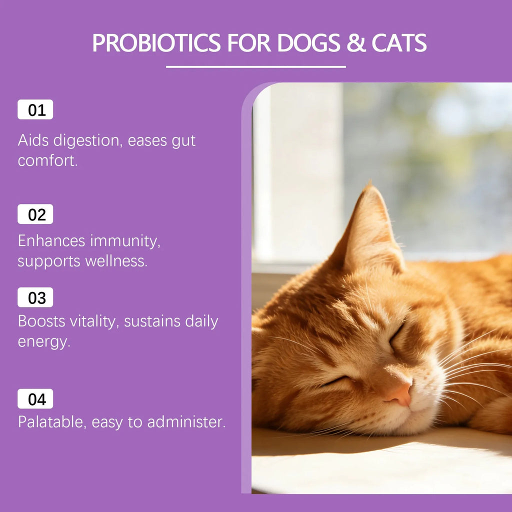 200g probiotic powder for pet intestinal care with Bacillus subtilis, fructooligosaccharides, glucose and chicken powder