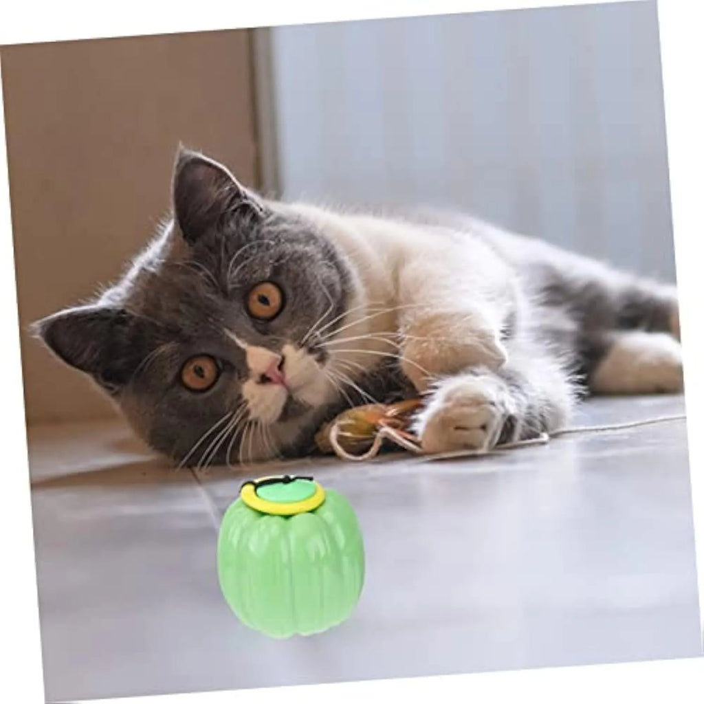 Orange plastic pumpkin-shaped dog chew toy with squeaker on a green background