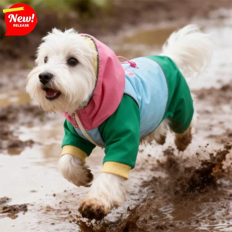 Waterproof 4-leg dog jumpsuit with hood in blue on a dog, reflective details visible