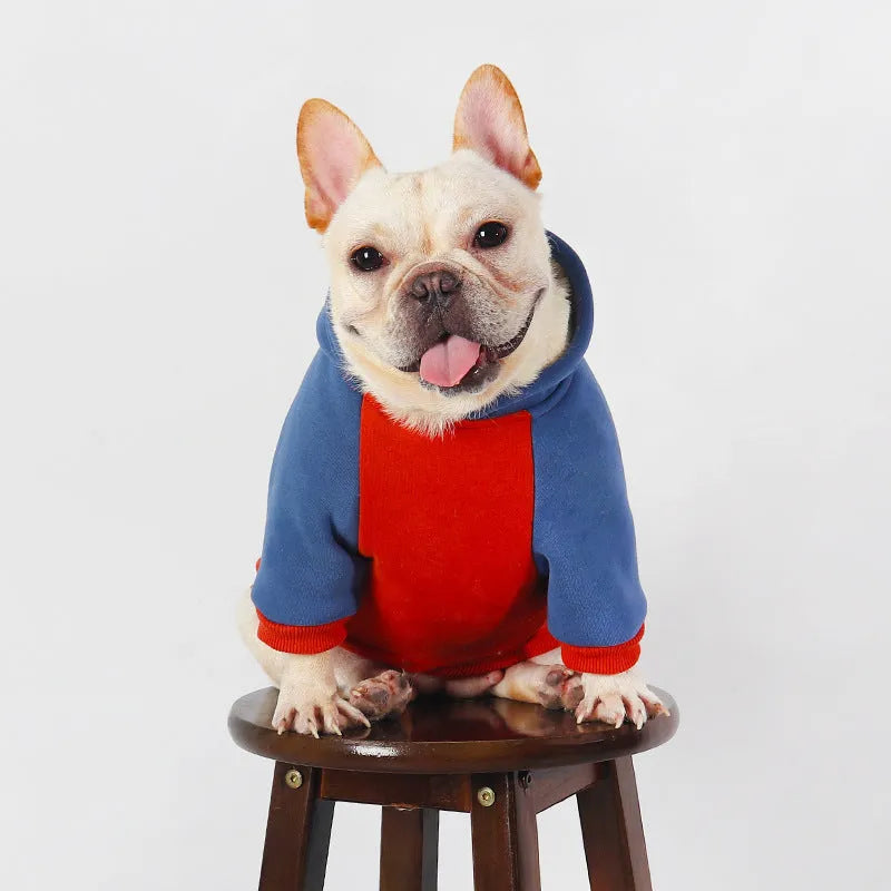 Red cotton dog jumper for small and medium breeds including Teddy and Bichon