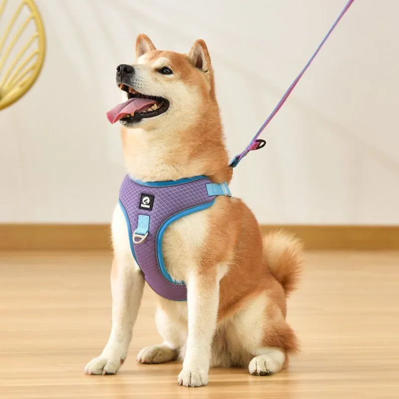 Adjustable reflective dog harness in polyester with four colour options