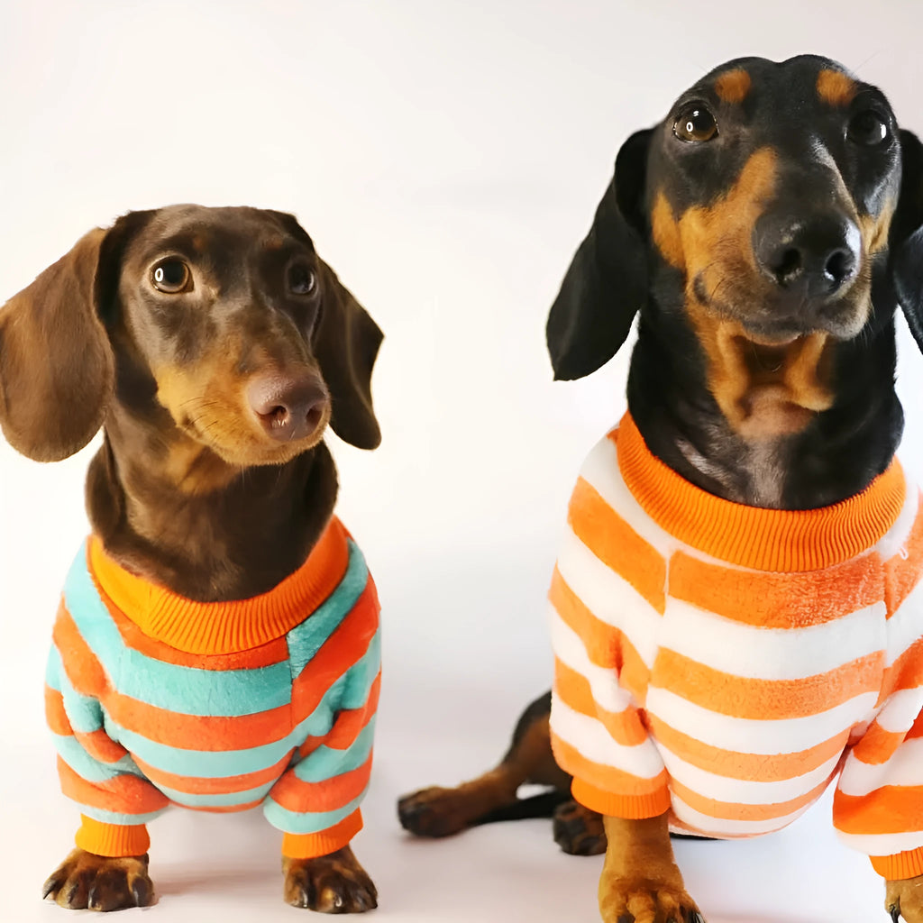 Orange, red, and white striped casual sweatshirt for a dog or cat on a hanger.