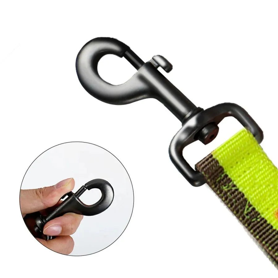 Green elastic dog training leash with metal clip for medium and large breeds