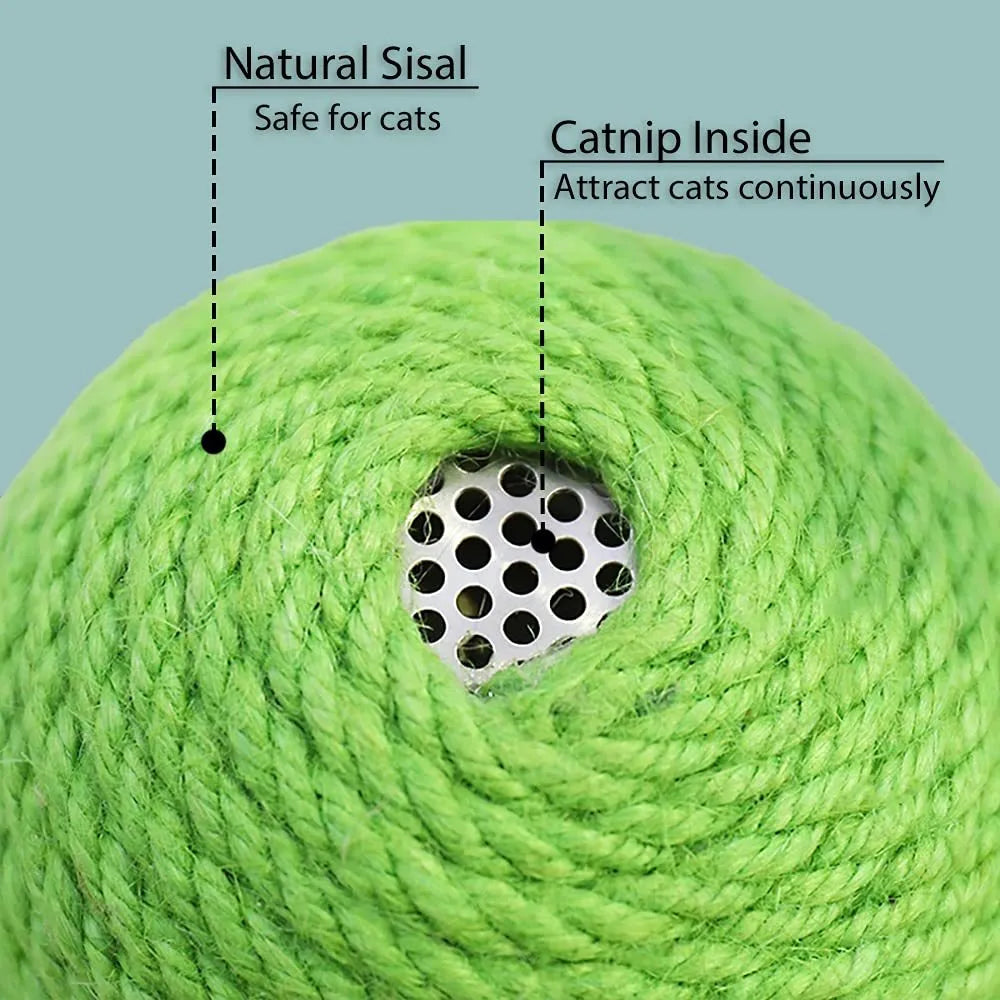 Green cactus-shaped cat scratcher with sisal post, catnip toys, and a tumbler ball on a stable base