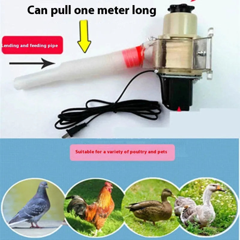 Automatic solar chicken and duck feeding machine with timer display and watertight outdoor housing.
