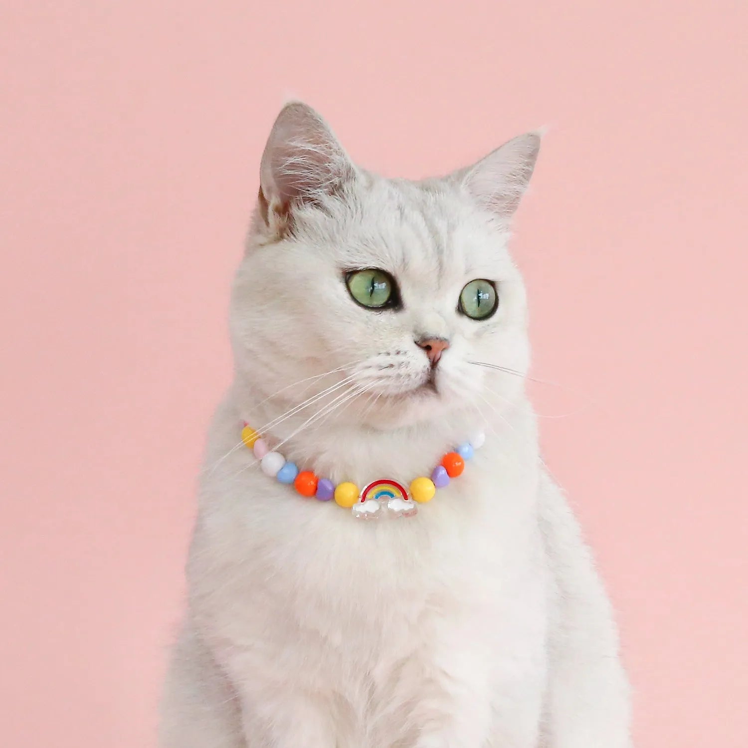 Colourful plastic bead pet necklace for a cat, showing rainbow, peach, and small flower pattern options.
