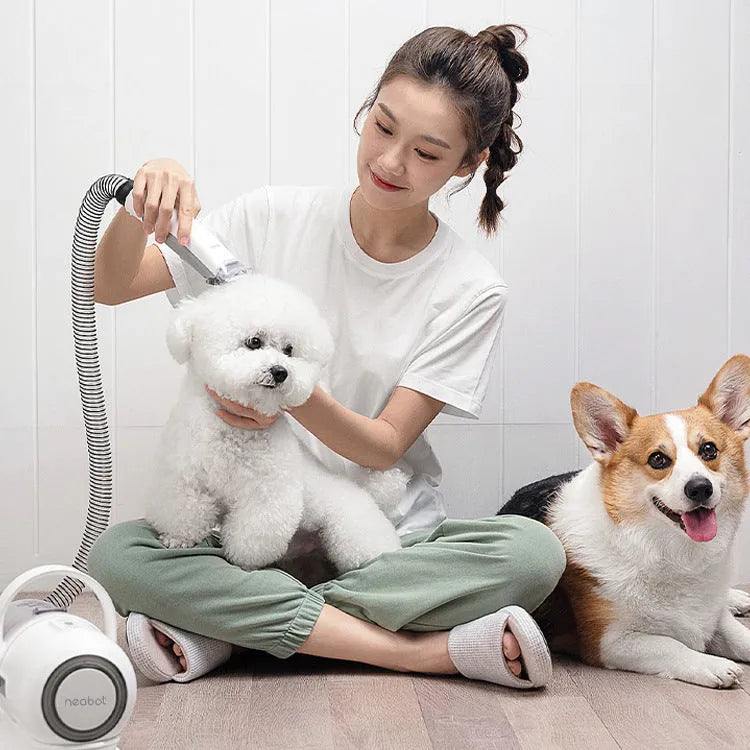 Pet grooming device P1 with ABS body, comb and shave attachments, size 290x132x210mm