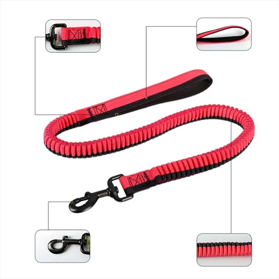 Green elastic dog training leash with metal clip for medium and large breeds