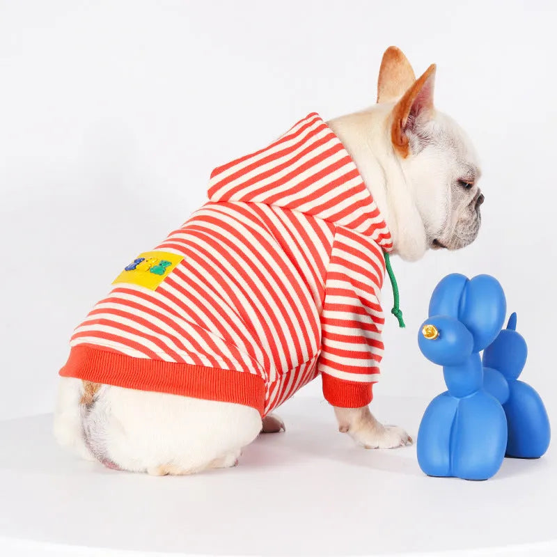 Orange cotton hooded dog sweater on a mannequin, Japanese Korean style