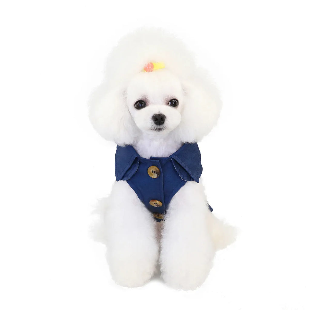 Three-colour windbreaker dog coat for small dogs in blue, green, or khaki, sizes S to XXL.