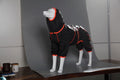 Dog wearing red cotton-padded polyester shell jacket winter coat