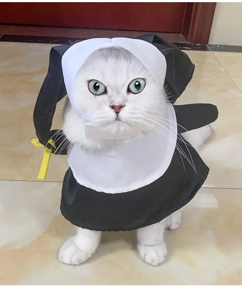 Black nun costume for pet Halloween dressing on dog or cat