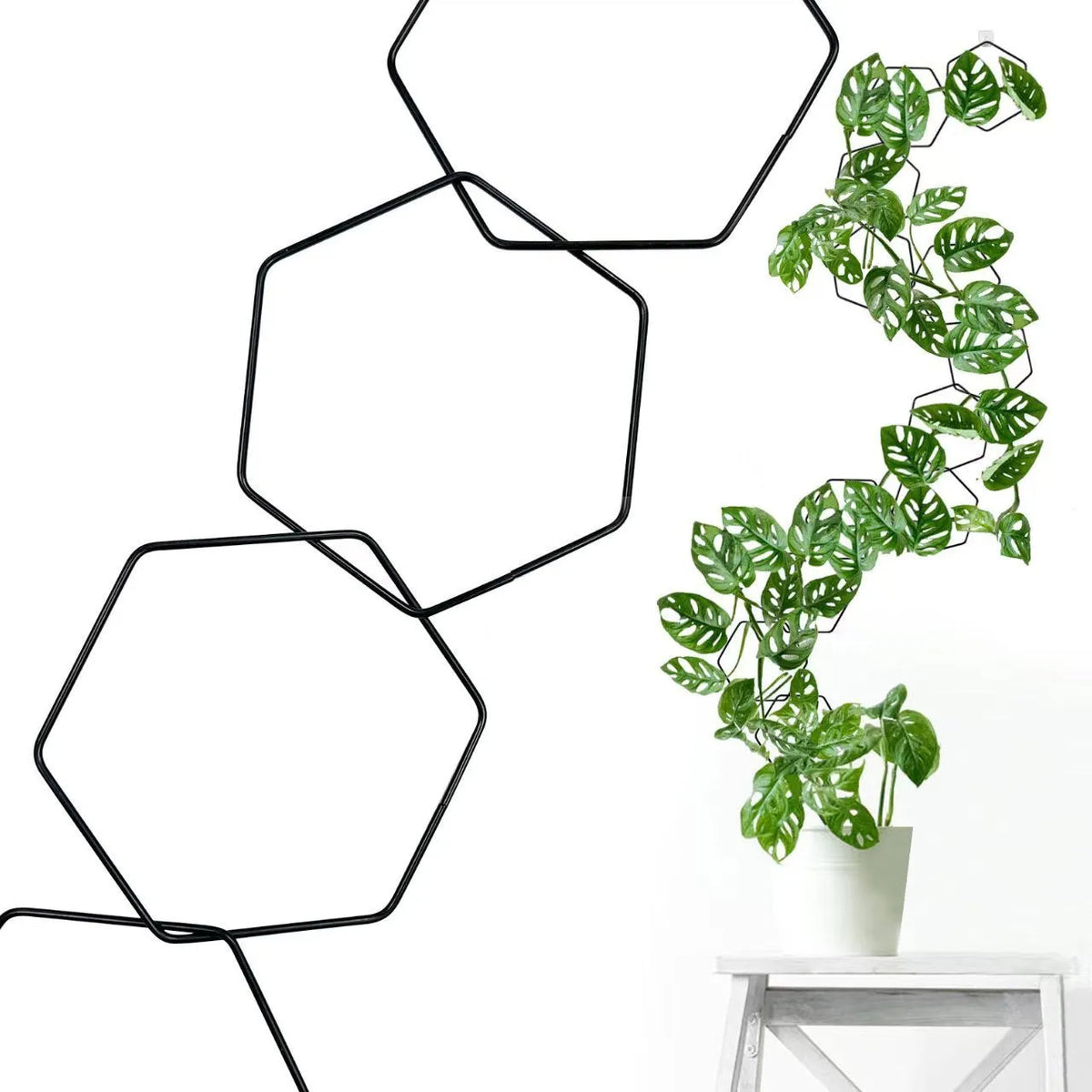 Hexagonal iron ring plant flower rack with 18 hooks, foldable metal climbing frame for plant display