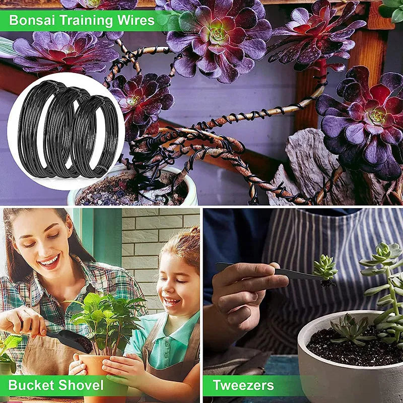 24-piece stainless steel bonsai tool set in compact storage case for potted plant pruning
