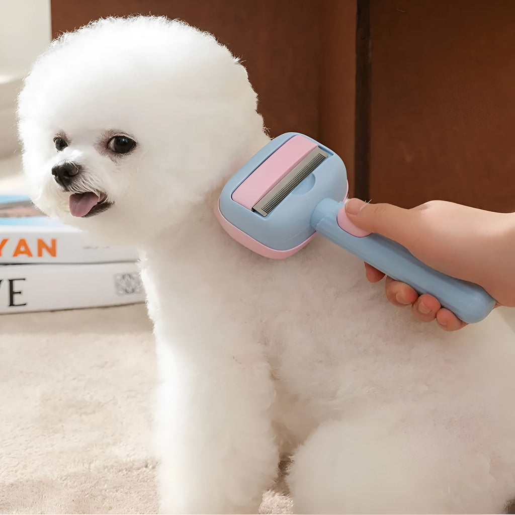 Blue and green double-sided pet grooming brush showing deshedding rake and dematting comb sides.