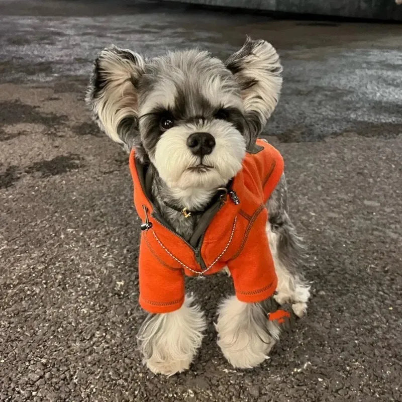 Red polyester hooded sweater for small dogs with two feet openings on a neutral background